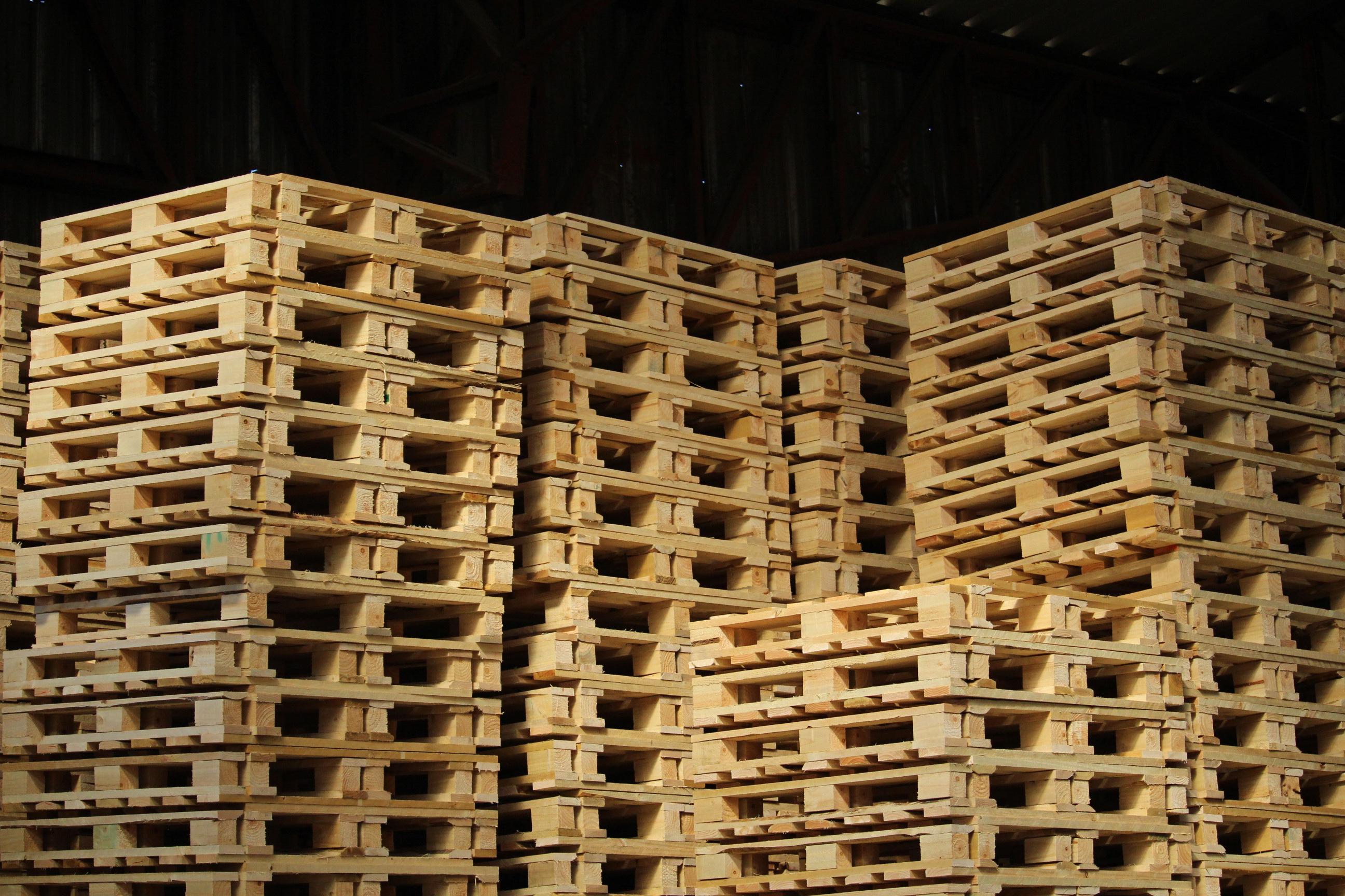 Pallets de Madera