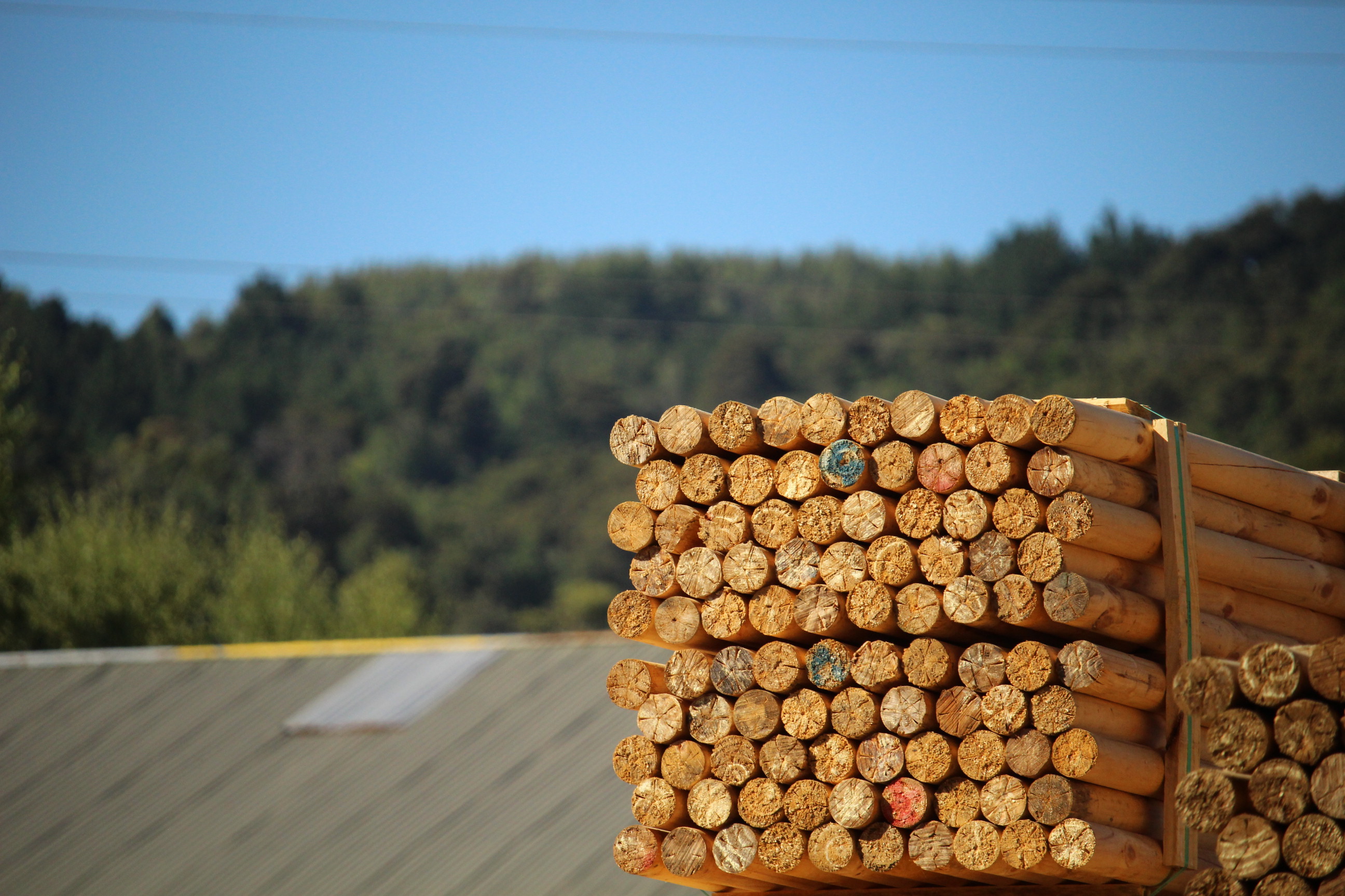 Rolletes Impregnados