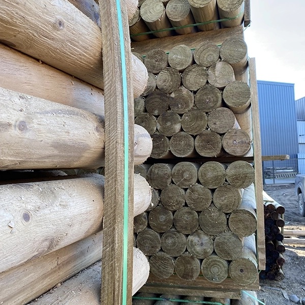 Fotografía de Rolletes Aurelia Preservación