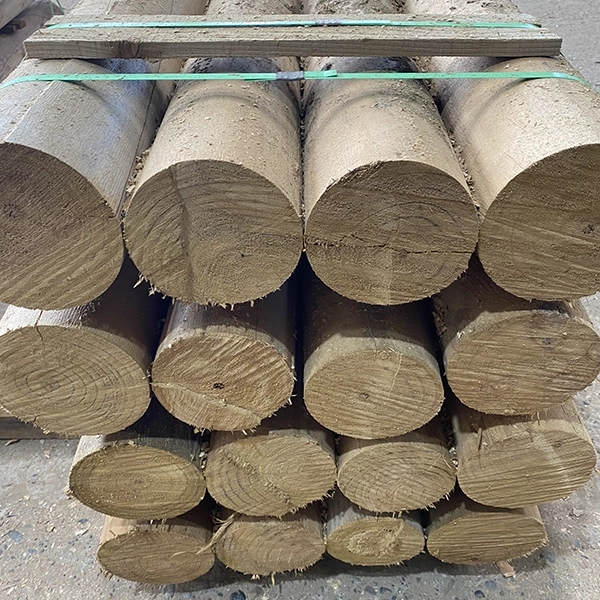 Fotografía de Rolletes Aurelia Preservación