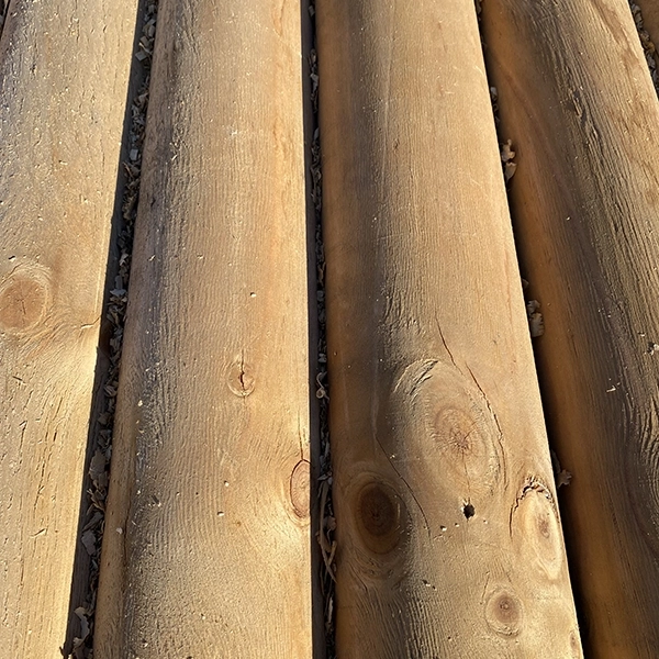 Fotografía de Polines Aurelia Preservación